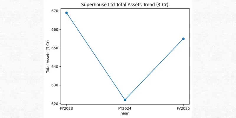 SUPERHOUSE LIMITED FINANCIAL AND BUSINESS ANALYSIS REPORT